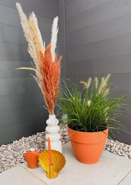 Charley'S Wellness Suite Westkapelle Exteriér fotografie