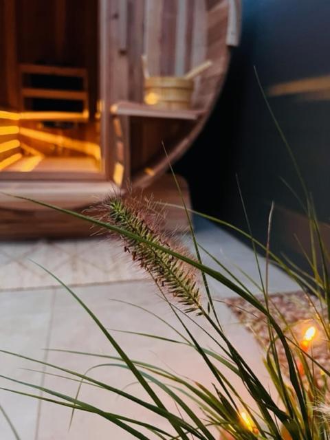 Charley'S Wellness Suite Westkapelle Exteriér fotografie